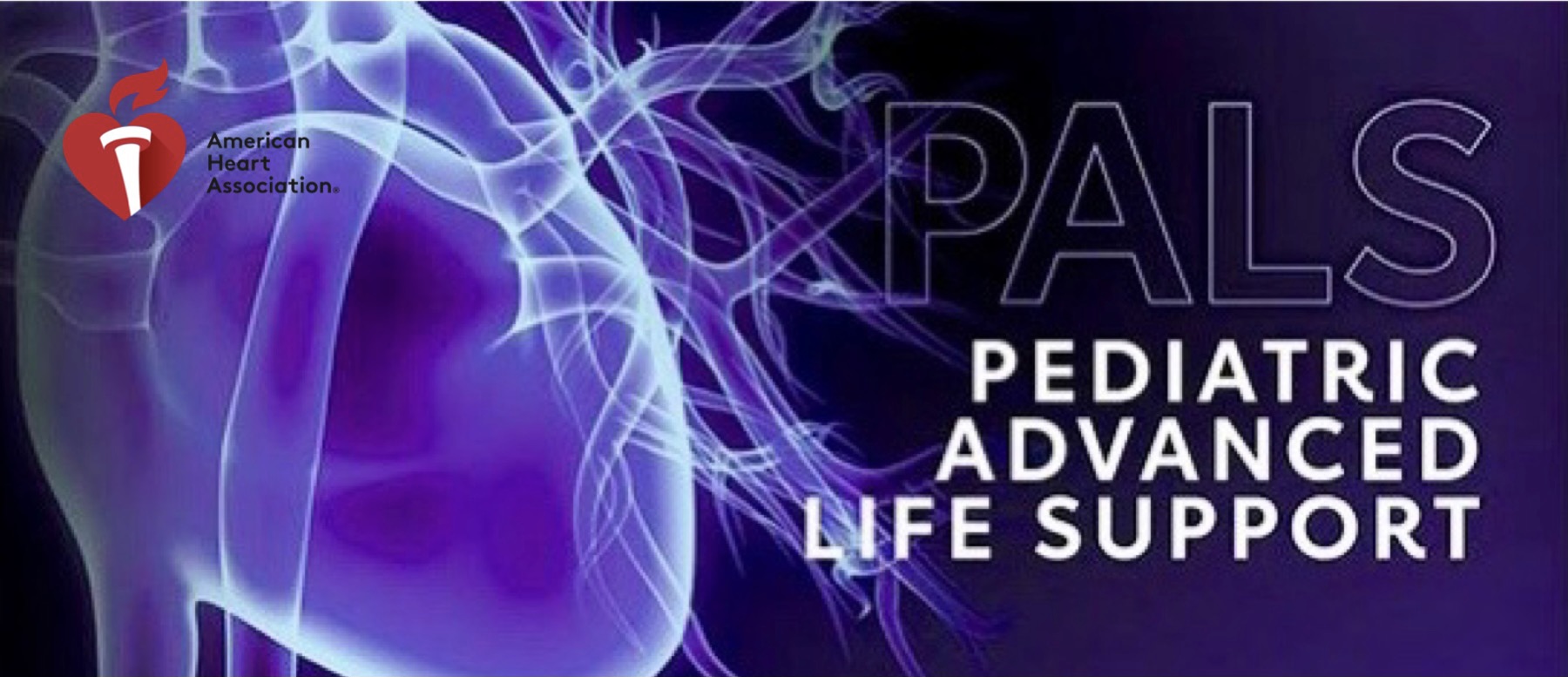 AHA Pediatric Advanced Life Support (PALS) for Providers